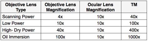 the total magnification of an object can be found by|How to Calculate Magnification: 12 Steps (with .